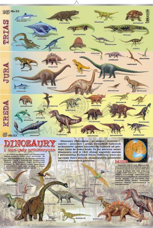 Dinozaury i inne gady prehistoryczne. Plansza edukacyjna