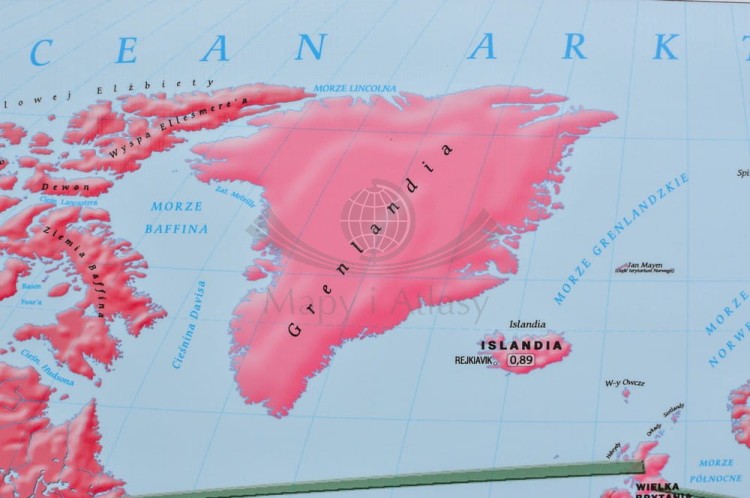 Świat 1:37 000 000. Zróżnicowanie gospodarcze i społeczne. Mapa ścienna wydawnictwa Meridian. Fragment 9