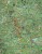 Beskid Śląski i Żywiecki 1:75 000. Laminowana mapa turystyczna wydawnictwa Demart. Fragment 1