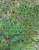 Beskid Śląski i Żywiecki 1:75 000. Laminowana mapa turystyczna wydawnictwa Demart. Fragment 2