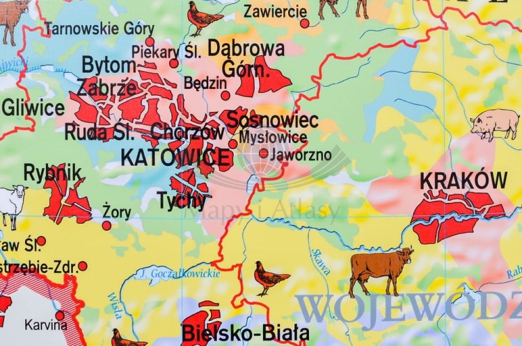 Polska 1:650 000. Rolnictwo w Polsce. Uprawy i struktura użytkowania ziemi. Mapa ścienna wydawnictwa Meridian. Fragment 1