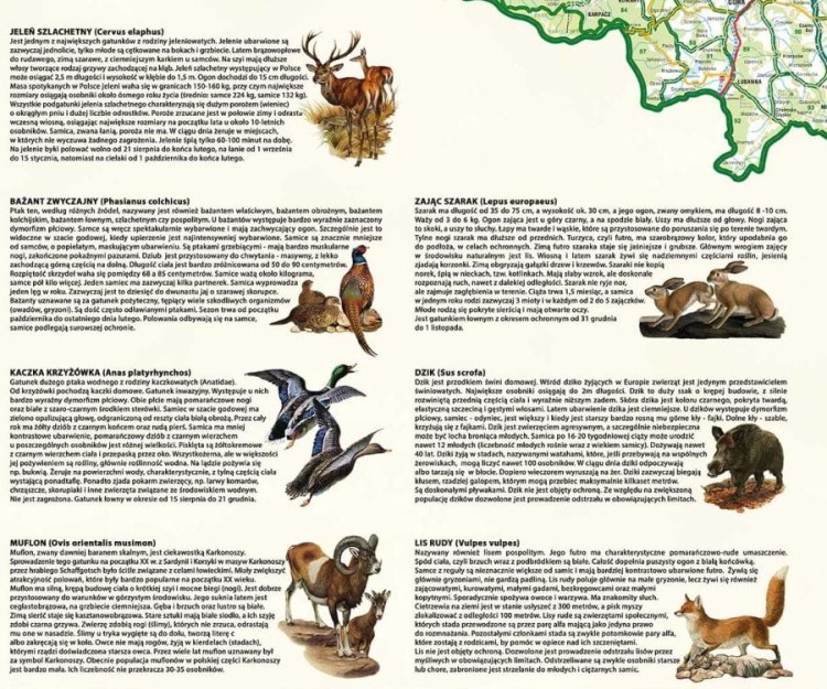 Województwo dolnośląskie. Mapa ścienna obwodów łowieckich. Fragment 3