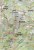 Góry Trascau 1:55 000. Mapa turystyczna MN10 wydawnictwa Schubert & Franzke. Fragment 2