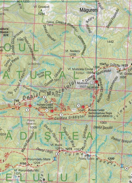 Góry Sureanu 1:80 000. Mapa turystyczna MN22 wydawnictwa Schubert & Franzke. Fragment 2