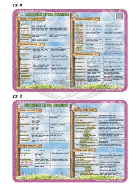 Ortografia języka polskiego. Dwustronna podkładka edukacyjna 009