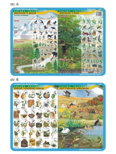 Piętrowość w górach i lesie, budowle i mieszania zwierząt, sieci i łańcuchy pokarmowe. Dwustronna podkładka edukacyjna 020