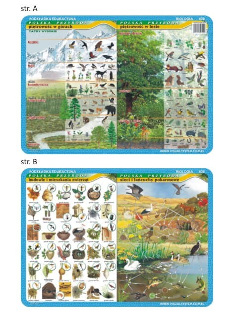 Piętrowość w górach i lesie, budowle i mieszania zwierząt, sieci i łańcuchy pokarmowe. Dwustronna podkładka edukacyjna 020