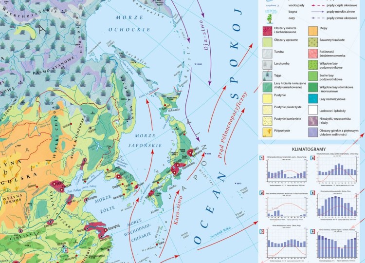 Azja 1:10 500 000. Mapa ścienna krajobrazowa. Drewniane półwałki. Fragment 2