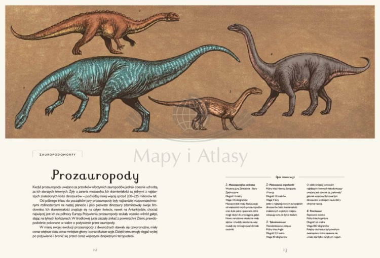 Dinozaurium. Atlas dinozaurów wydawnictwa Dwie Siostry. Przykładowe strony 1
