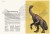 Dinozaurium. Atlas dinozaurów wydawnictwa Dwie Siostry. Przykładowe strony 2