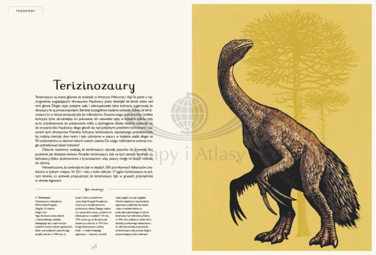 Dinozaurium. Atlas dinozaurów wydawnictwa Dwie Siostry. Przykładowe strony 2