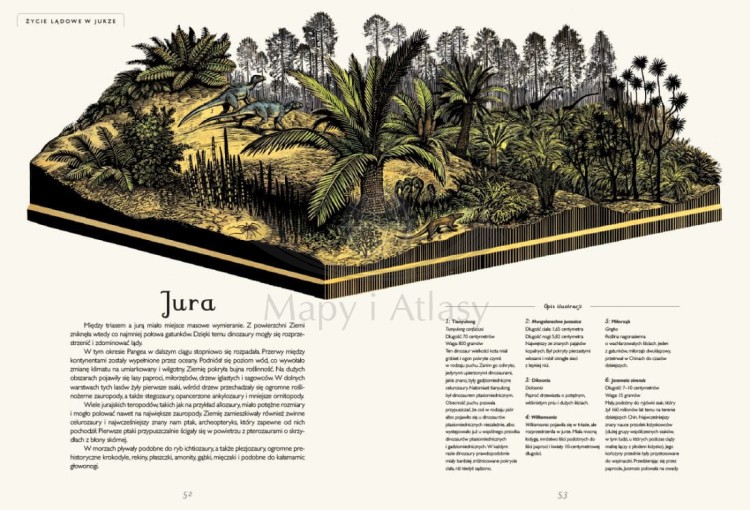 Dinozaurium. Atlas dinozaurów wydawnictwa Dwie Siostry. Przykładowe strony 3