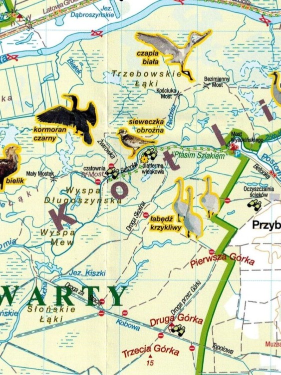 Park Narodowy Ujście Warty 1:50 000. Mapa turystyczna wydawnictwa Sygnatura. Fragment 3
