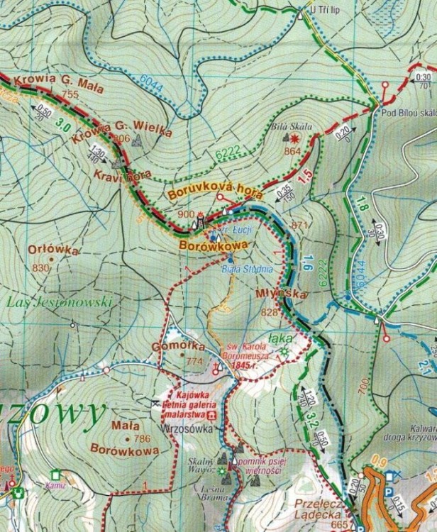 Góry Złote, Rychlebske Hory. Laminowana mapa turystyczna wydawnictwa Compass. Fragment 1