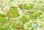 Beskid Śląski, Żywiecki i Mały. Kolorowanka i ciekawostki o regionie. Mapa