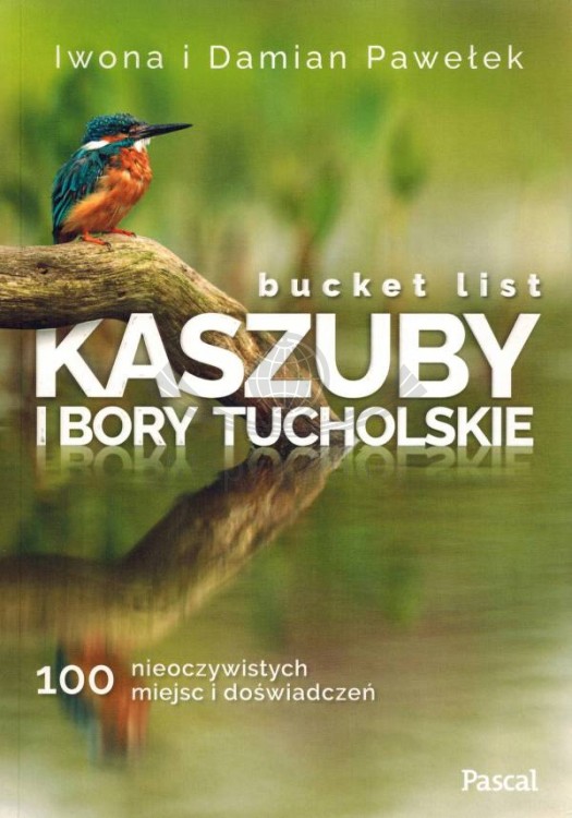 Bucket list Kaszuby i Bory Tucholskie. 100 nieoczywistych miejsc i doświadczeń. Album wydawnictwa Pascal. Okładka