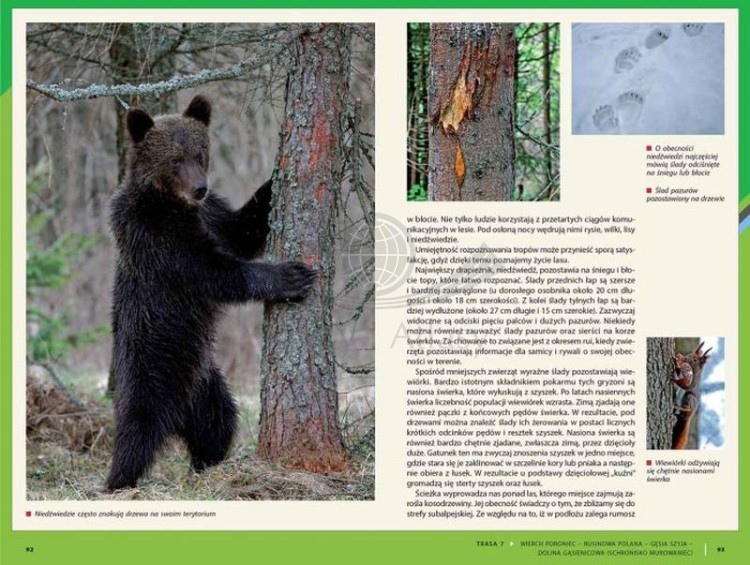 Tatry Polskie. Przewodnik przyrodniczy. Tomasz Skrzydłowski. Przykładowe strony 2