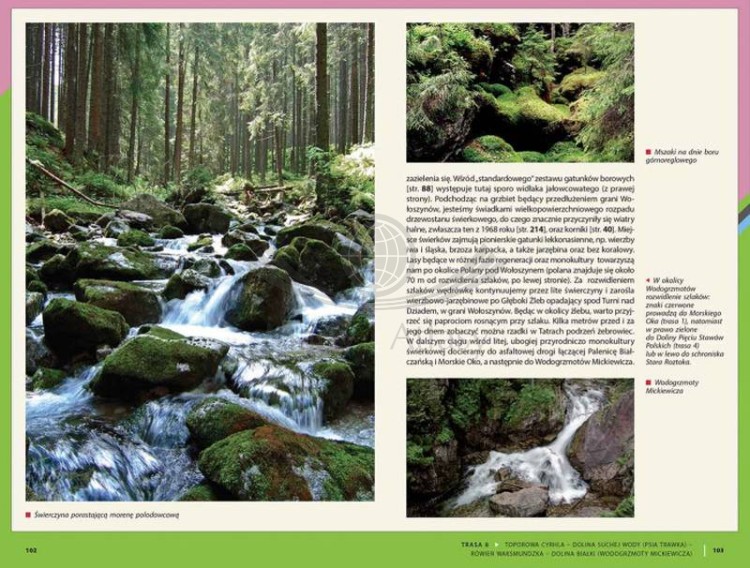 Tatry Polskie. Przewodnik przyrodniczy. Tomasz Skrzydłowski. Przykładowe strony 3