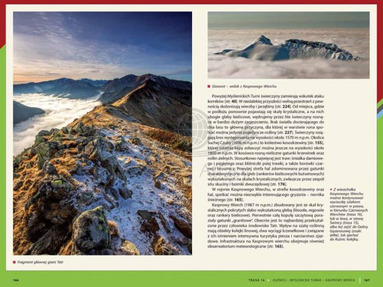 Tatry Polskie. Przewodnik przyrodniczy. Tomasz Skrzydłowski. Przykładowe strony 4