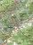 Beskid Żywiecki 1:50 000. Laminowana mapa turystyczna wydawnictwa ExpressMap. Fragment 2