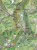 Beskid Śląski 1:50 000. Laminowana mapa turystyczna wydawnictwa ExpressMap. Fragment 2