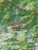 Ziemia Kłodzka 1:65 000. Laminowana mapa panoramiczna wydawnictwa ExpressMap. Fragment 3