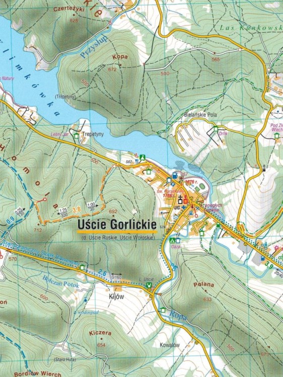 Wysowa-Zdrój i okolice. Mapa turystyczna / Plan miasta wydawnictwa Compass. Fragment 1