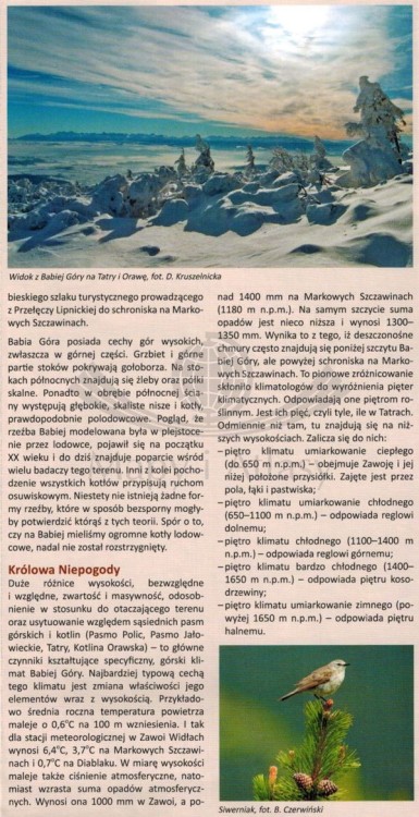 Wokół Babiej Góry / Babia Góra, Beskid Żywiecki, Orawa. Laminowana mapa turystyczna wydawnictwa Compass. Informator - fragment