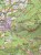 Kufstein, Walchsee, St. Johann in Tirol. Wodoodporna mapa turystyczna 09 wydawnictwa Kompass. Fragment 2