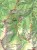 Zakopane i Tatry Polskie. Laminowany plan miasta / Mapa turystyczna wydawnictwa Gauss. Fragment 2