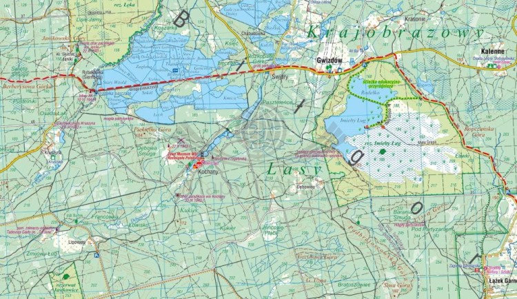 Lasy Janowskie 1:50 000. Mapa turystyczna wydawnictwa Compass. Fragment 1