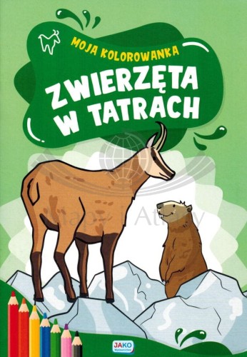 Moja kolorowanka. Zwierzęta w Tatrach. Okładka