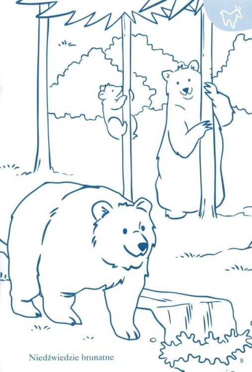 Moja kolorowanka. Zwierzęta w Tatrach. Przykładowa strona 2