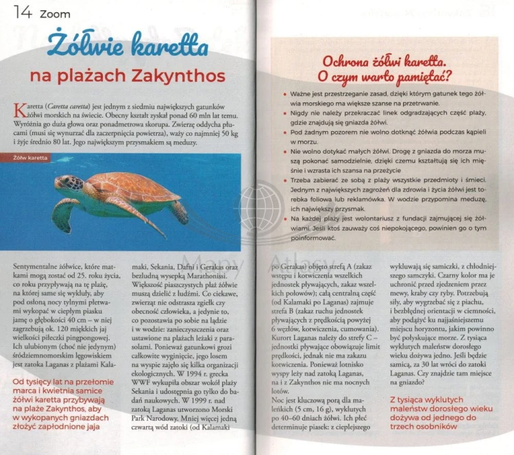 Zakintos / Zakynthos. Przewodnik Lajt wydawnictwa Pascal. Przykładowe strony 1