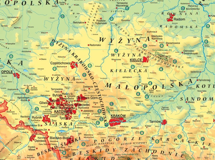 Polska 1:600 000. Mapa fizyczna z elementami ekologii magnetyczna. Rama alu SLIM. Fragment