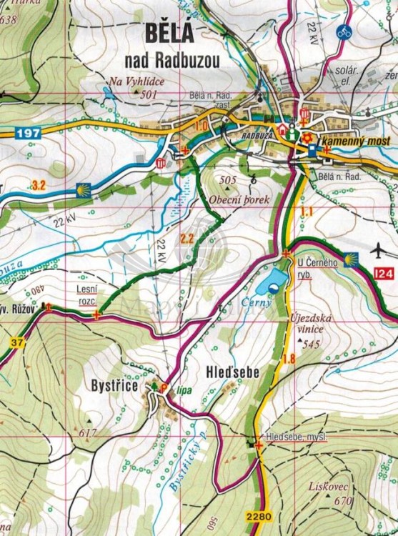 Czeski Las - Domazlice / Cesky Les - Domazlicko. Mapa turystyczna 431 wydawnictwa Shocart. Fragment 2