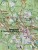 Południowy Tyrol / Sudtiroler Weinstrasse, Merano, Bolzano. Zestaw dwóch map turystycznych 078 wydawnictwa Kompass. Mapa 2 - fragment 1