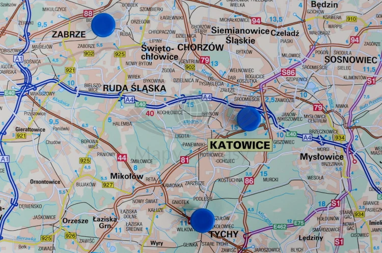 Magnesy 10 sztuk niebieskie (1).jpg