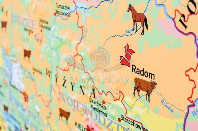 Polska 1:650 000. Rolnictwo w Polsce. Uprawy i struktura użytkowania ziemi. Mapa ścienna wydawnictwa Meridian. Fragment 4