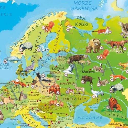 Zwierzęta MO XXL - tapeta 5.jpg