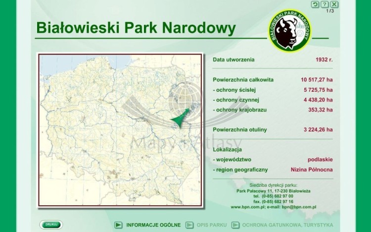 big_bialowieski_pn.jpg