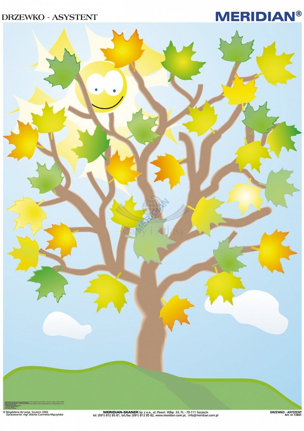 Drzewko asystent. Plansza edukacyjna. Drewniane półwałki