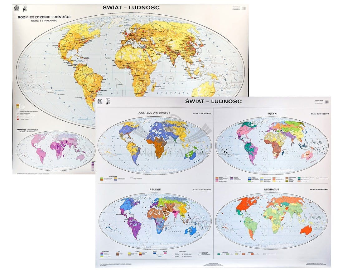 Świat. Ludność: odmiany człowieka, migracje, religie, języki. Mapa ścienna