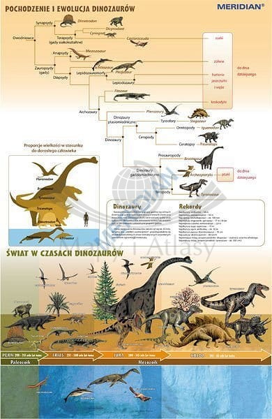 Ewolucja dinozaurów - świat w czasach wielkich gadów. Plansza edukacyjna. Drewniane półwałki