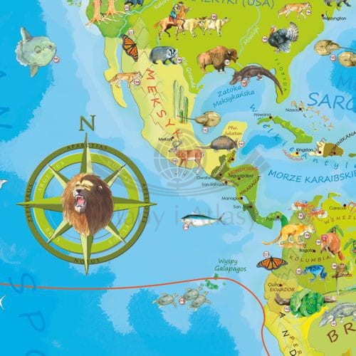 Zwierzęta Świata Młodego Odkrywcy MIDI. Mapa ścienna dla dzieci. Producent: ArtGlob. Fragment 6