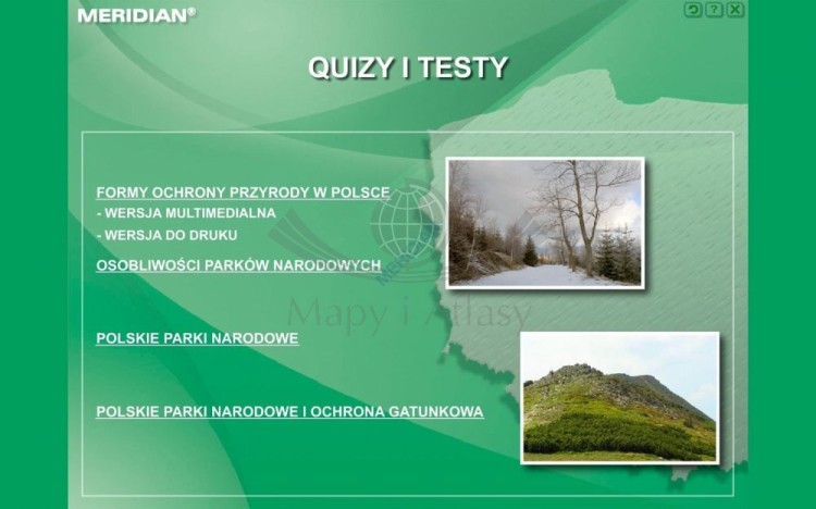 big_quizy_i_testy.jpg