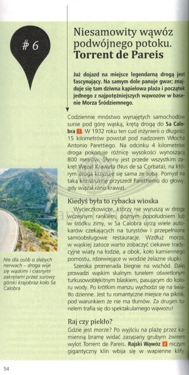 MajorkaPrzewodnikDumont_5.JPG