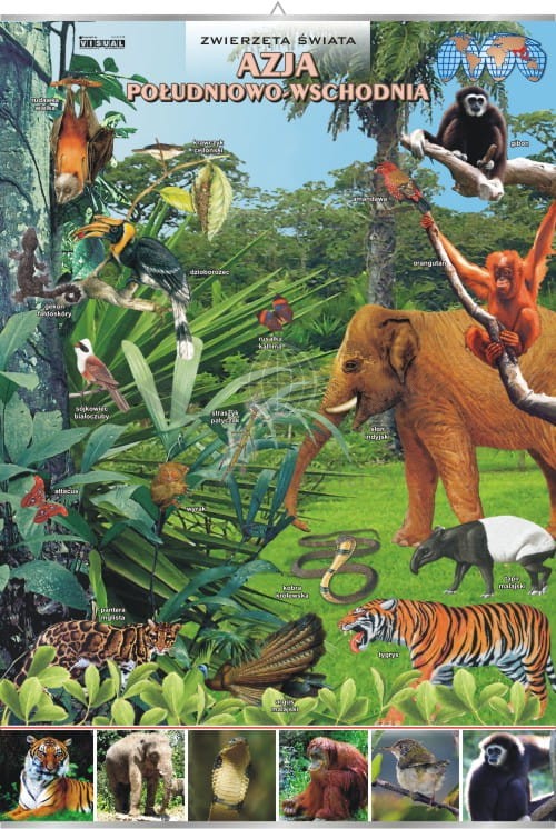 Azja Południowo-Wschodnia. Zwierzęta świata. Plansza edukacyjna