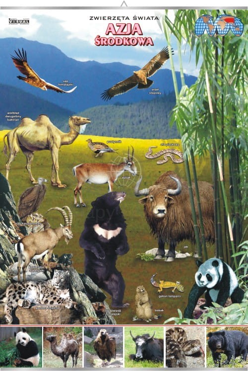 Azja Środkowa. Zwierzęta świata. Plansza edukacyjna