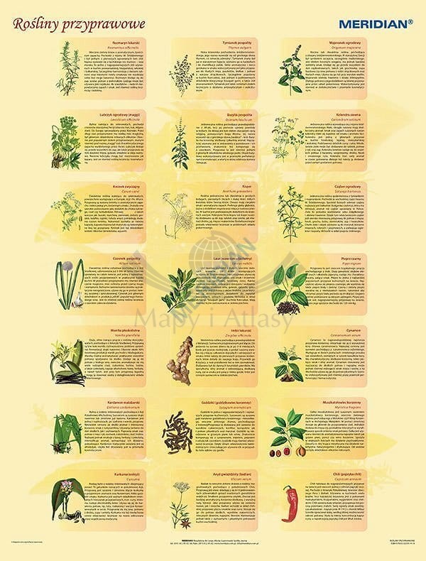 Rośliny przyprawowe. Plansza edukacyjna. Drewniane półwałki